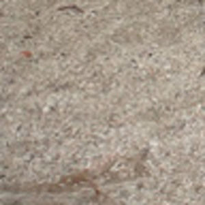 Meet your Posher, Ting-yeh